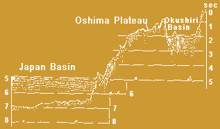 Topography and seismic profile