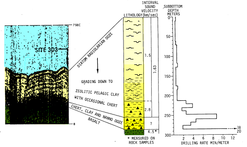 Correlation of seismic reflection profiles with 
drilling results at Site 303