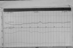 Lvv940220.jpg