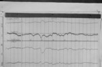 Lvv950202.jpg