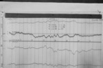 Lvv950211.jpg