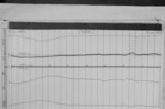 Lvv950416.jpg
