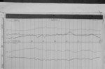 Lvv950504.jpg