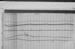 Lvv950627.jpg