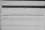 Lvv950919.jpg