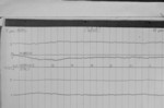 Lvv951209.jpg