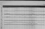 Lvv960130.jpg