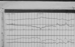 Lvv960210.jpg
