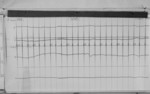 Lvv980303.jpg