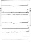 mgd980112c.jpg