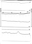 mgd980929c.jpg