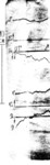 mgd990824a.jpg