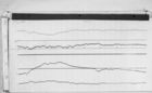 Lvv010803.jpg