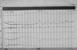 Lvv930303.jpg