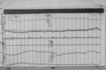 Lvv930306.jpg