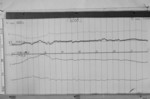 Lvv930514.jpg