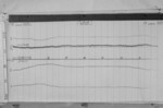Lvv930616.jpg