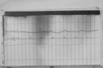 Lvv940130.jpg