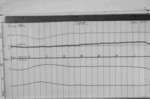 Lvv940430.jpg
