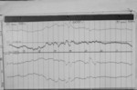 Lvv940530.jpg
