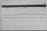 Lvv940605.jpg