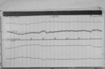 Lvv940617.jpg
