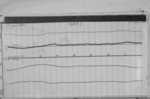 Lvv940623.jpg