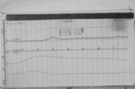 Lvv940711.jpg