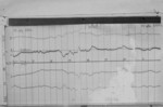 Lvv940813.jpg
