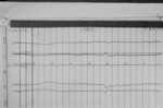 Lvv960111.jpg