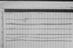 Lvv960123.jpg