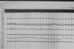 Lvv960130.jpg