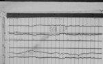 Lvv960131.jpg