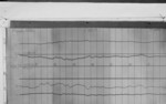 Lvv960214.jpg