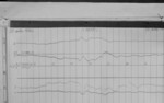 Lvv960225.jpg