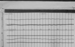 Lvv960302.jpg