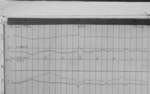 Lvv960322.jpg