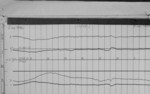 Lvv960402.jpg