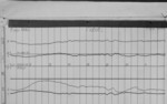 Lvv960403.jpg