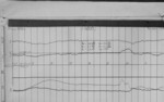 Lvv960411.jpg