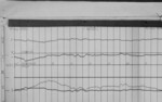 Lvv960415.jpg