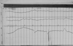 Lvv960816.jpg