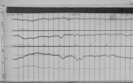 Lvv960825.jpg