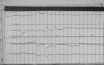 Lvv960923.jpg