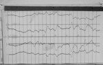 Lvv961022.jpg