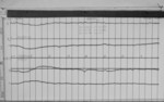 Lvv961031.jpg