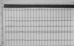 Lvv970113.jpg