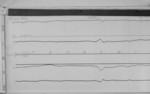 Lvv970125.jpg