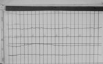 Lvv970223.jpg