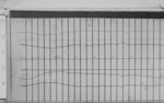 Lvv970623.jpg